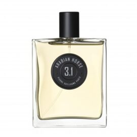 PIERRE GUILLAUME-3.1 Arabian Horse