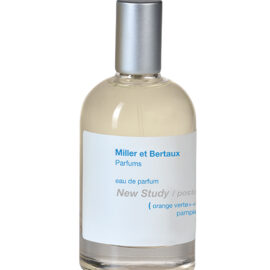 MILLER ET BERTAUX PARIS - NEW STUDY / POSTCARD