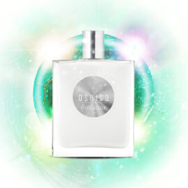 PIERRE GUILLAUME - OSHISO