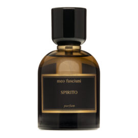 Meo Fusciuni-Spirito