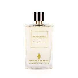 SIMONE ANDREOLI - SUNPLOSION