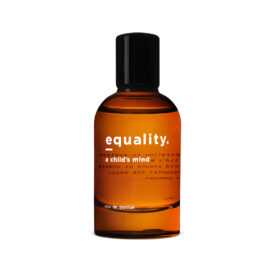 EQUALITY - A CHILD'S MIND